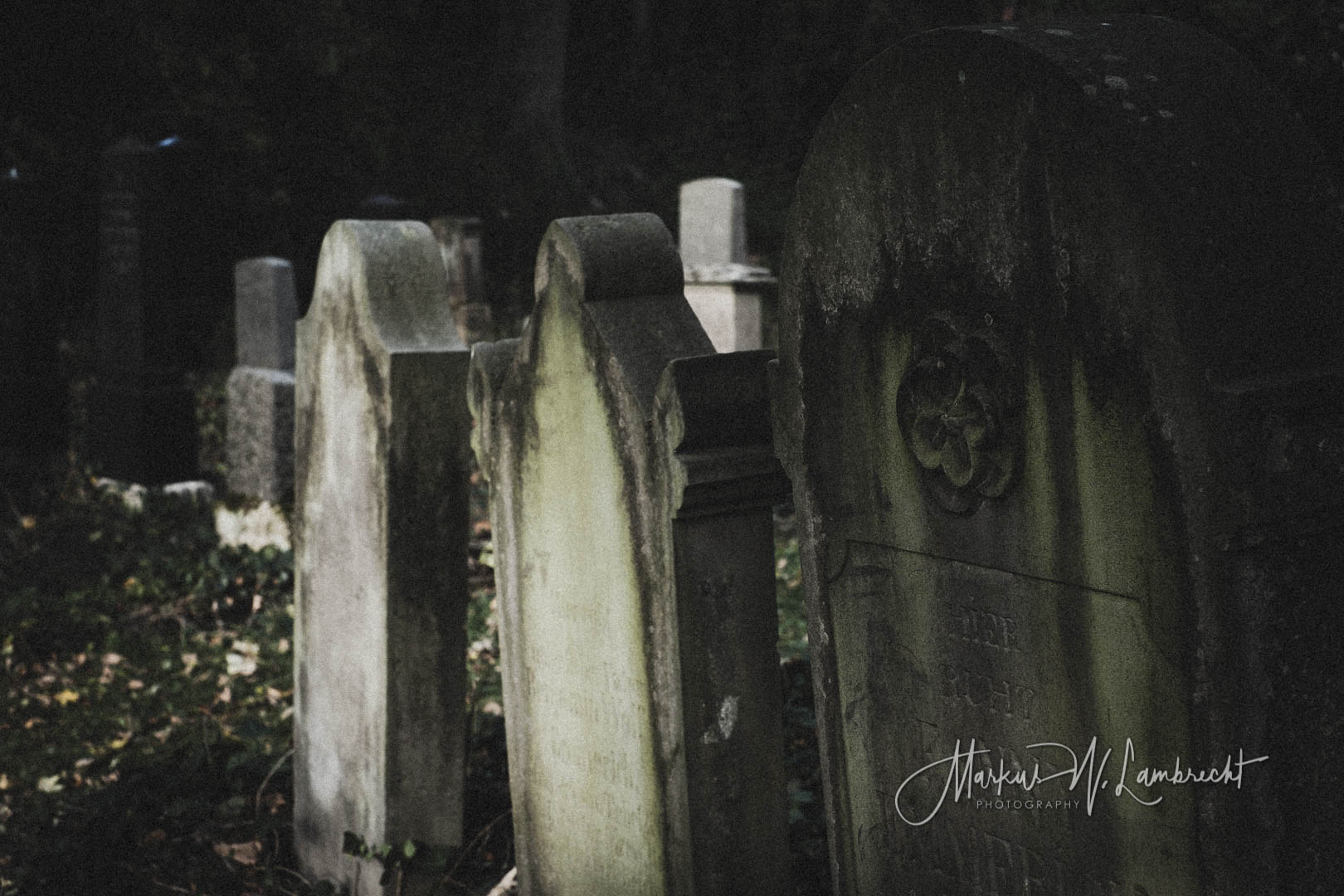 Steinheim (Westfalen), Jüdischer Friedhof